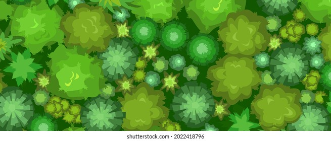 Hermoso paisaje veraniego con árboles. Vista desde arriba. Ilustración en un estilo plano. Escenarios desde arriba. Arca y bosque de coníferas. Diseño de caricaturas. Vector.