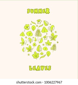 Beautiful Summer Leaves Icons, Vector, design