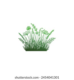 Beautiful Summer Meadow With Grasses,  Flowers realistic vector