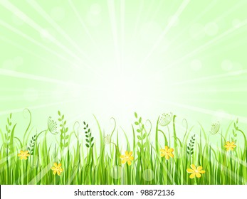 Beautiful Summer Meadow Landscape. Vector Illustration of Grass at Lawn With Green Sky