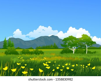 beautiful summer nature landscape