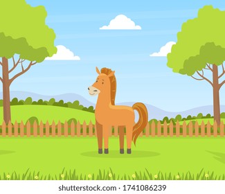 Beautiful Summer Rural Landscape with Green Field and Grazing Horse Barn Cartoon Vector Illustration