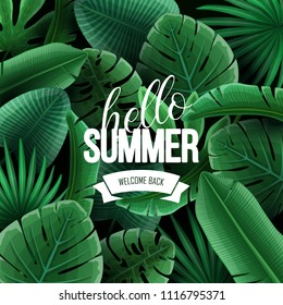 Beautiful summer sale background with palm leaves. Vector illustration.