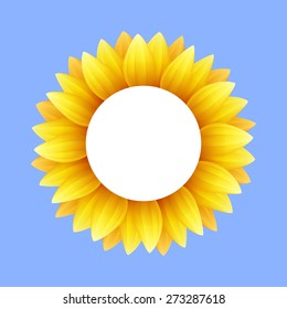 Beautiful sunflower, abstract natural background