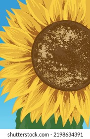 Beautiful sunflower against blue sky