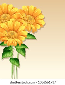 A Beautiful Sunflower Blank Template illustration