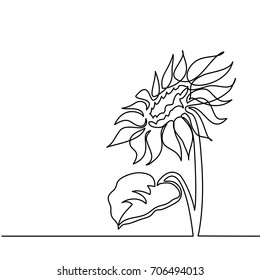 Beautiful Sunflower. Continuous Line Drawing. Vector Illustration