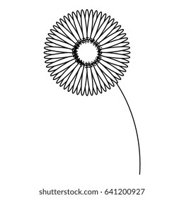 beautiful sunflower decoration icon