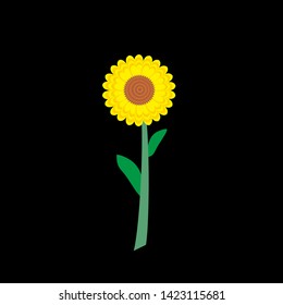 
beautiful sunflower design illustration. flat design