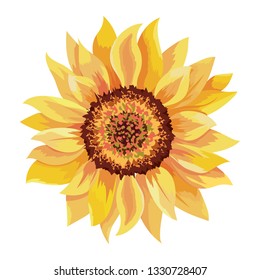 beautiful sunflower drawing