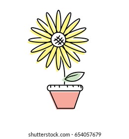 beautiful sunflower in the flowerpot