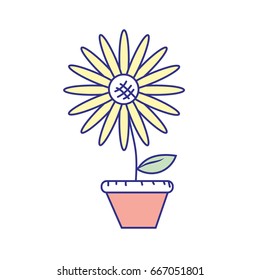 beautiful sunflower in the flowerpot