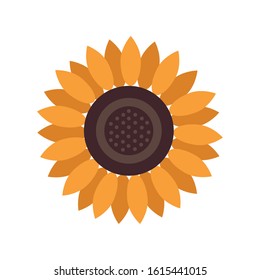 beautiful sunflower garden decorative icon vector illustration design