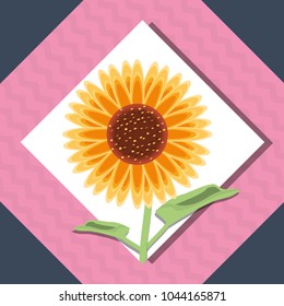beautiful sunflower icon