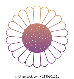 beautiful sunflower icon