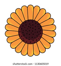 beautiful sunflower icon