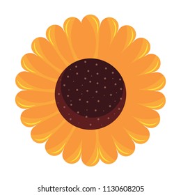 beautiful sunflower icon