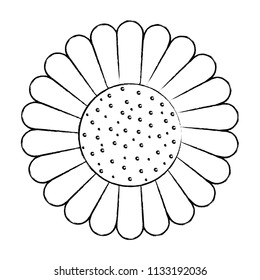 beautiful sunflower icon