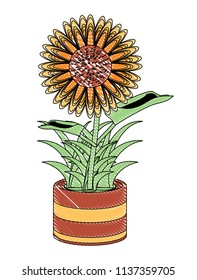 beautiful sunflower icon