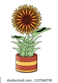 beautiful sunflower icon