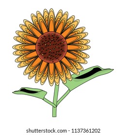 beautiful sunflower icon 