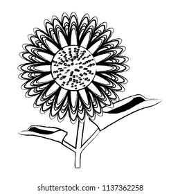 beautiful sunflower icon 