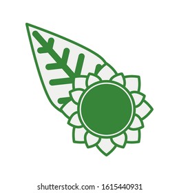 beautiful sunflower with leaf garden vector illustration design