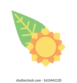 beautiful sunflower with leaf garden vector illustration design