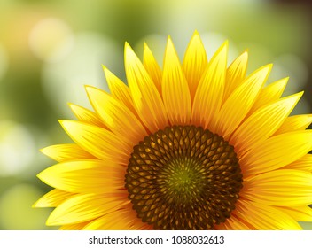 Beautiful Sunflower on Nature Background illustration