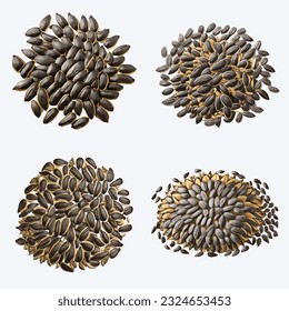 Beautiful Sunflower seeds in solid background, vector illustration