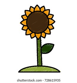 Beautiful sunflower symbol