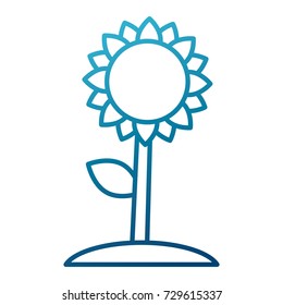 Beautiful sunflower symbol
