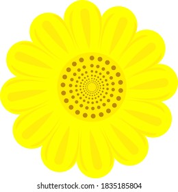 un hermoso vector de girasol sin tallo