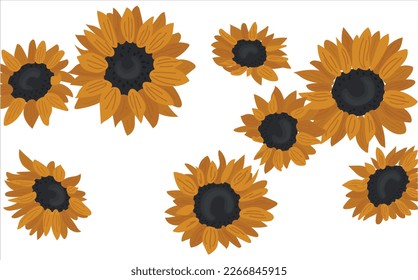 Beautiful sunflowers of different shapes and sizes. Flowers in flat, cartoon style. Yellow flowers with black middle. Elements for cards, posters, mother's day designs. World Women's Day. Spring holid