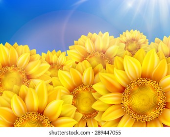 Beautiful sunflowers in the field with bright blue sky. EPS 10 vector file included