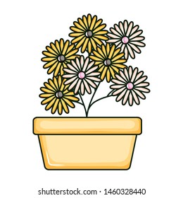 beautiful sunflowers garden in square ceramic pot