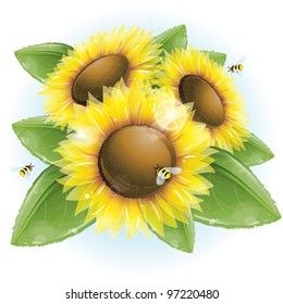 Beautiful sunflowers and green leaves, vector illustration, eps-10