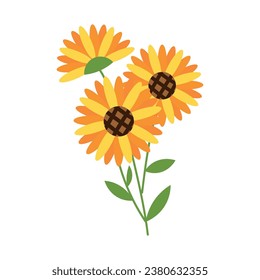 Beautiful sunflowers on white background