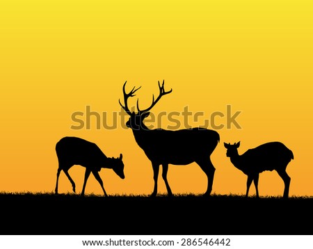 Beautiful sunset background with deer silhouettes