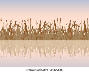 The beautiful sunset meadow waterside. Vector illustration.