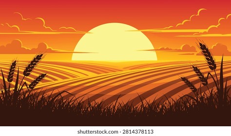 A beautiful sunset over rolling agricultural wheat fields with a warm orange sky, featuring a stylized digital illustration and vector graphic design.