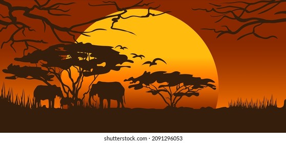 Beautiful sunset safari scene with  elephants  and trees silhouette. Vector illustration