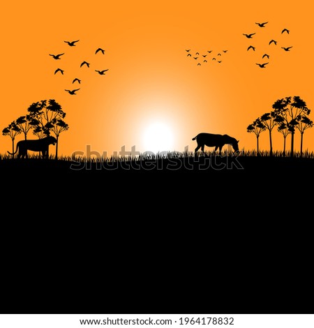 Beautiful Sunset Scene with animals
