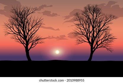 Hermosa puesta de sol con árbol en silueta