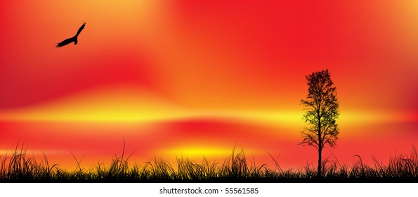 Beautiful sunset,made by mesh, vector illustration