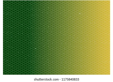 Beautiful surface of fish scales