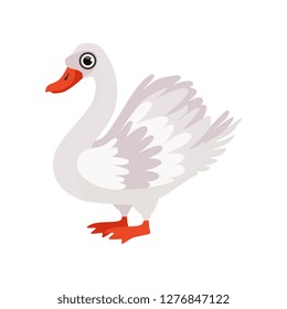 Beautiful swan bird vector Illustration on a white background