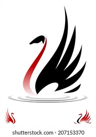 Beautiful swan. Elegance Swan. Swan on the water spread out its wing. Swan. Swan lake .