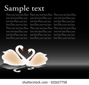 beautiful swan in love ,with place for text