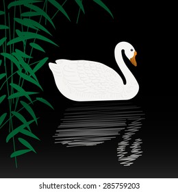 Beautiful swan vector illustration. White swan swimming gracefully in the pond. White swan on black water with reflection